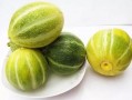 甜瓜美食爆料视频下载,视频爆料带你领略瓜香四溢的味蕾盛宴