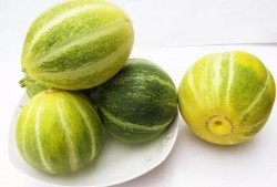 甜瓜美食爆料视频下载,视频爆料带你领略瓜香四溢的味蕾盛宴