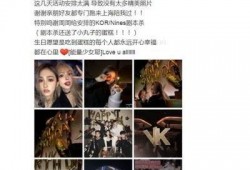 爆料明星素材视频大全最新,最新明星素材视频大全大揭秘