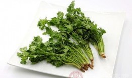 香菜管理爆料怎么做视频,视频制作攻略全解析