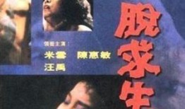 一脱求生在线观看三邦,三邦直播的惊险求生之旅