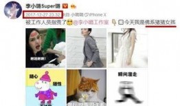 圈内爆料微博网红是谁,微博网红身份曝光，圈内爆料引发热议