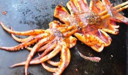 冰鲜大鱿鱼爆料视频,揭秘幕后加工全过程
