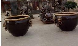 水缸在线观看,揭秘神秘水缸背后的故事
