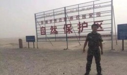 罗布泊四人爆料视频在线观看,探寻神秘事件的背后真相
