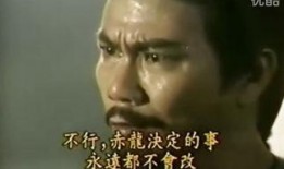 洪熙官在线观看,传奇武林的传奇英雄