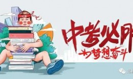 小鹰阿里爆料最新消息,行业动态揭秘，独家内幕抢先看！