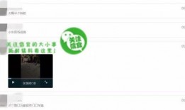 哪个网站看爆料视频,深度解析网络热点事件