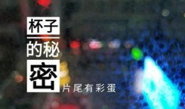 德州饭店爆料视频播放,一场惊心动魄的美食之旅
