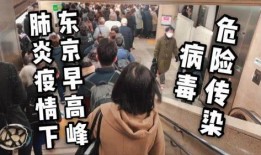 陈哥武汉爆料视频大全下载,揭秘背后真相