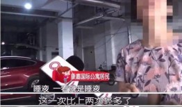 龙岗区刘先生爆料新闻视频,揭秘事件背后真相
