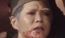 洪熙官在线观看,传奇武林的传奇英雄