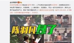 樱桃爆料视频大全集免费观看,独家揭秘，免费畅享精彩瞬间