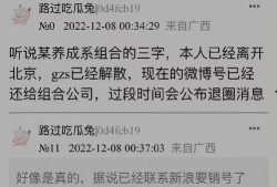 刘大锤粉丝爆料视频,揭秘视频背后的精彩瞬间