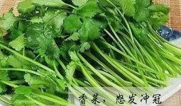香菜管理爆料怎么做视频,视频制作攻略全解析