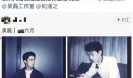王安宇爆料澄清视频,揭秘背后真相