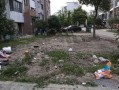海阳吃瓜最新事件爆料埠南村,埠南村最新爆料揭秘