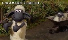 小羊最新爆料视频下载免费,视频内容大起底，免费下载背后的真相