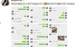张大妈如何看最新爆料记录,揭秘最新爆料背后的真相