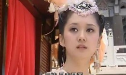 赛雅公主爆料苏有朋视频,揭秘娱乐圈不为人知的一面