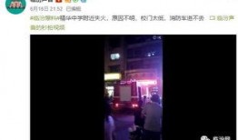 临汾幼儿园爆料视频,揭秘幼儿园内幕