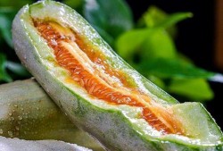 吃瓜网红赵梓婷