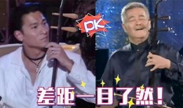 二胡爆料刘德华视频播放,二胡演奏引发网友热议