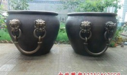 水缸在线观看,揭秘神秘水缸背后的故事