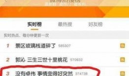 卓伟爆料女星聊天视频,女星私密聊天视频引发热议
