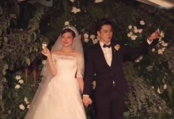 官宣结婚爆料视频大全集,结婚爆料视频大全集回顾