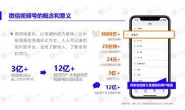 画家新皮肤爆料视频下载,视频爆料带你领略艺术与科技的完美融合