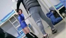 光打屁股视频在线观看,揭秘网络热门视频背后的故事