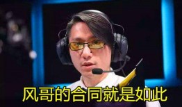 风哥爆料老板是真的吗视频,老板真相曝光，视频爆料引发热议