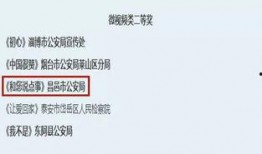 金融诈骗爆料视频大全集,视频大全集深度剖析