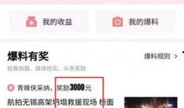 怎样爆料视频在头条里,如何轻松在今日头条上发布热门爆料视频