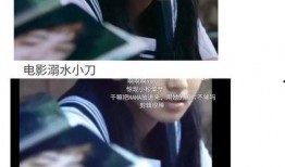 娱乐圈吃瓜爽文合集