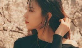 卢洋洋最新爆料视频大全,揭秘幕后故事与精彩瞬间