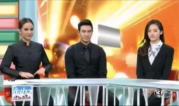 知名娱乐博主爆料泰星,娱乐博主独家爆料，真相令人震惊！