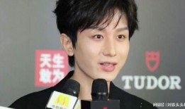 成毅爆料录音是真的吗视频,视频证据揭示真相