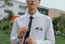 龚俊音频爆料最新消息,揭秘娱乐圈不为人知的幕后真相