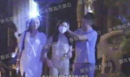 最新狗仔爆料视频大全,娱乐圈幕后真相大揭秘
