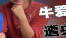刘晶团队爆料视频大全集,揭秘事件真相与幕后黑幕